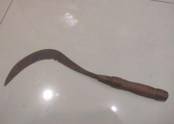 Polisi Ungkap Kasus Percobaan Pencurian di Purwantoro, Pelaku Diamankan Kurang dari 24 Jam