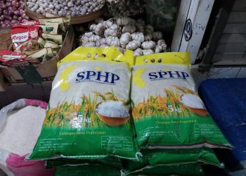 Permintaan Beras SPHP Naik Jelang Ramadhan 1447 H, Bulog Madiun Jamin Stok Pangan Aman