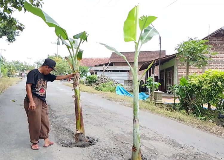 Aksi Tanam Pisang di Jalan Rusak Magetan, Warga Desak Pemkab Percepat Perbaikan Infrastruktur