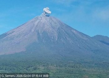 Gunung Semeru Erupsi Tujuh Kali dalam Tiga Jam, Tinggi Kolom Letusan Capai 800 Meter