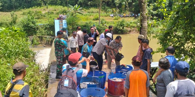 CSR Penebaran 1 Ton Ikan di Sungai Timang, Polres Wonogiri Kawal Program Pelestarian Lingkungan