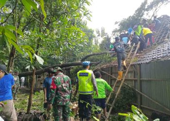 Polsek Nogosari Gerak Cepat Tangani Pohon Tumbang Timpa Rumah Warga di Boyolali