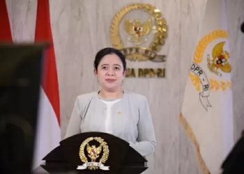 Puan Maharani Soroti Kebijakan WFH ASN, Tekankan Pelayanan Publik Tetap Optimal