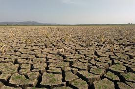 Ancaman Kemarau Panjang 2026, Petani Wonogiri Diminta Antisipasi Penurunan Produksi