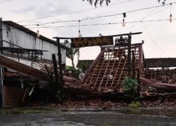 Hujan Disertai Angin Kencang Terjang Ngawi, Dua Bangunan Roboh dan Pohon Tumbang