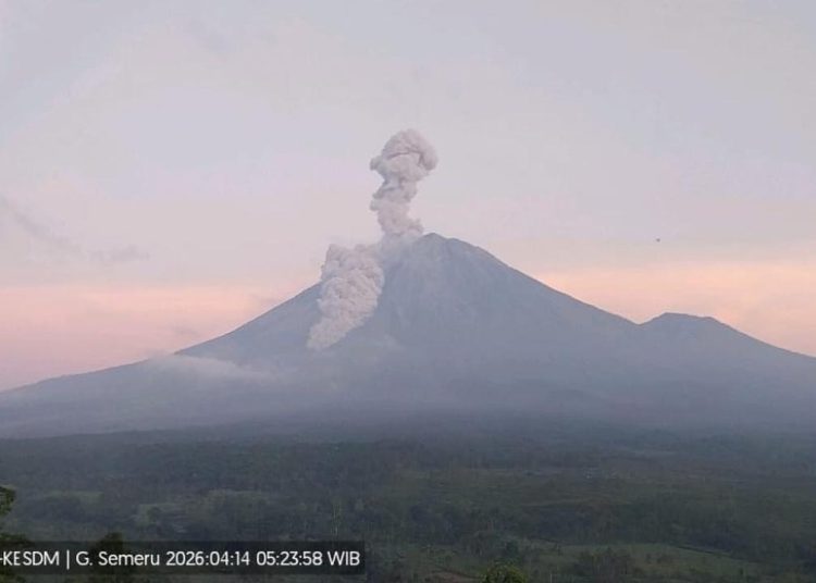 Gunung Semeru Kembali Erupsi, Warga Diminta Waspadai Lahar dan Awan Panas