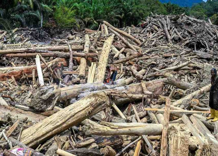 Pemerintah Optimalkan Kayu Hanyutan untuk Huntara dan Pemulihan Pascabencana di Sumatra