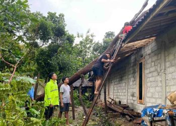 Cuaca Ekstrem Landa Wonogiri, Pohon Tumbang Timpa Rumah di Kerjo Lor