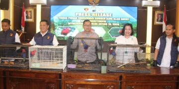 Polda Jateng Bongkar Perdagangan Satwa Dilindungi, 18 Kasturi Kepala Hitam Diselamatkan di Pati