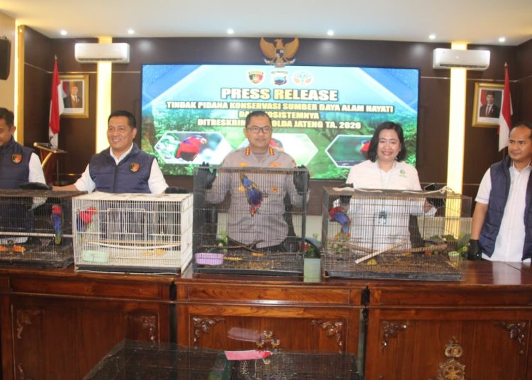 Polda Jateng Bongkar Perdagangan Satwa Dilindungi, 18 Kasturi Kepala Hitam Diselamatkan di Pati