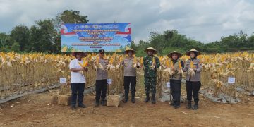 Polres Wonogiri Panen Raya Jagung, Dorong Ketahanan Pangan hingga Pertanian Ramah Lingkungan