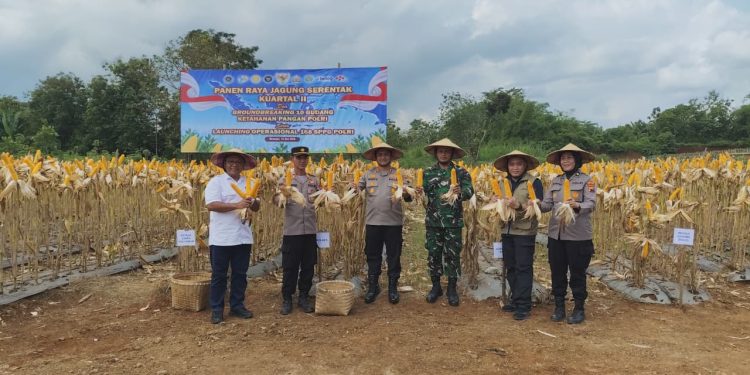 Polres Wonogiri Panen Raya Jagung, Dorong Ketahanan Pangan hingga Pertanian Ramah Lingkungan