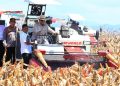 Prabowo Panen Raya Jagung di Tuban, Tegaskan Ketahanan Pangan Jadi Agenda Strategis Nasional