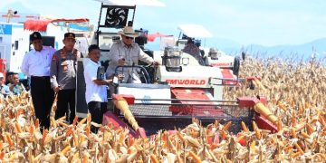 Prabowo Panen Raya Jagung di Tuban, Tegaskan Ketahanan Pangan Jadi Agenda Strategis Nasional