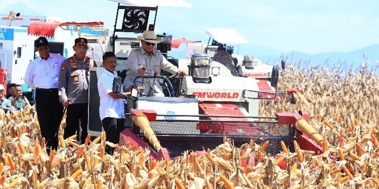 Prabowo Panen Raya Jagung di Tuban, Tegaskan Ketahanan Pangan Jadi Agenda Strategis Nasional