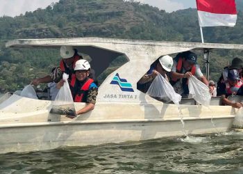 Perum Jasa Tirta dan PLN Tebar 100 Ribu Benih Ikan di Waduk Gajah Mungkur Wonogiri