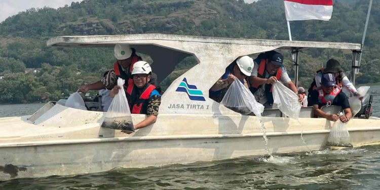 Perum Jasa Tirta dan PLN Tebar 100 Ribu Benih Ikan di Waduk Gajah Mungkur Wonogiri
