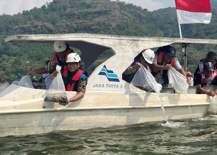 Perum Jasa Tirta dan PLN Tebar 100 Ribu Benih Ikan di Waduk Gajah Mungkur Wonogiri