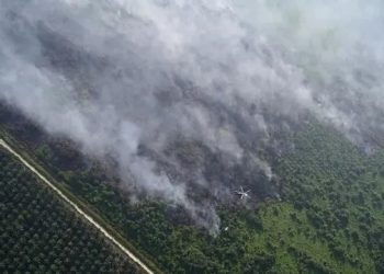 Menko Polkam Ingatkan Ancaman El Nino, Jabatan Kepala Daerah hingga Pangdam Dipertaruhkan Jika Gagal Kendalikan Karhutla