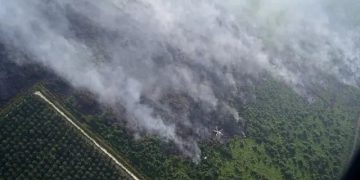 Menko Polkam Ingatkan Ancaman El Nino, Jabatan Kepala Daerah hingga Pangdam Dipertaruhkan Jika Gagal Kendalikan Karhutla