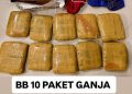 Bareskrim Polri Gagalkan Pengiriman 10 Paket Ganja dari Padang ke Sidoarjo, Satu Tersangka Diamankan