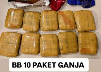 Bareskrim Polri Gagalkan Pengiriman 10 Paket Ganja dari Padang ke Sidoarjo, Satu Tersangka Diamankan