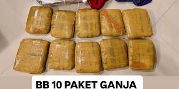 Bareskrim Polri Gagalkan Pengiriman 10 Paket Ganja dari Padang ke Sidoarjo, Satu Tersangka Diamankan