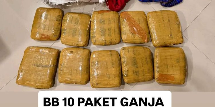Bareskrim Polri Gagalkan Pengiriman 10 Paket Ganja dari Padang ke Sidoarjo, Satu Tersangka Diamankan