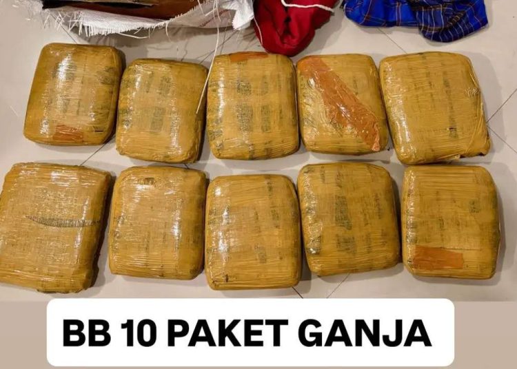 Bareskrim Polri Gagalkan Pengiriman 10 Paket Ganja dari Padang ke Sidoarjo, Satu Tersangka Diamankan