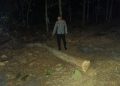 Pria 65 Tahun di Wonogiri Meninggal Diduga Terjatuh dari Pohon Jati Saat Menebang