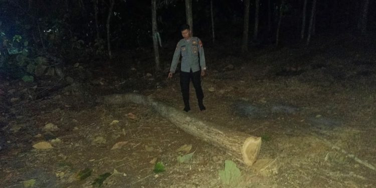 Pria 65 Tahun di Wonogiri Meninggal Diduga Terjatuh dari Pohon Jati Saat Menebang