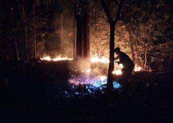 Respons Cepat Laporan Call Center 110, Polsek Kedunggalar Padamkan Kebakaran Lahan di Ngawi