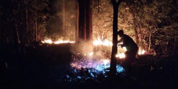 Respons Cepat Laporan Call Center 110, Polsek Kedunggalar Padamkan Kebakaran Lahan di Ngawi