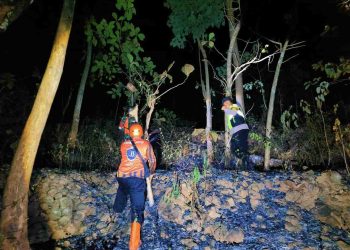 Sinergi Polri, TNI, Relawan, dan Warga Padamkan Kebakaran Lahan di Wonogiri, 1,5 Hektare Terdampak