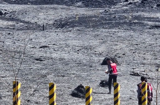 Karhutla Bromo Belum Padam, Kunjungan Ditutup. Wisatawan Bisa Reschedule atau Refund Tiket