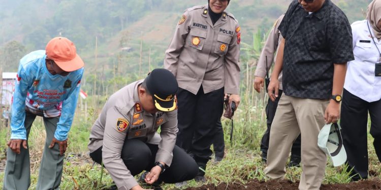Petani Wonogiri Tanam Bawang Putih Serentak, Perkuat Ketahanan Pangan dan Ekonomi Desa