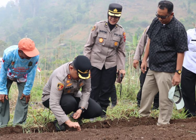 Petani Wonogiri Tanam Bawang Putih Serentak, Perkuat Ketahanan Pangan dan Ekonomi Desa