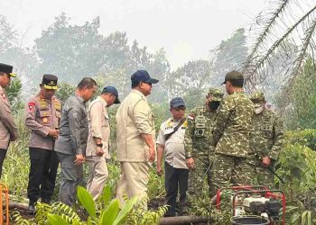 Presiden Prabowo Tinjau Penanganan Karhutla di Sumatra, Riau Jadi Titik Awal