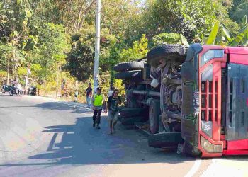 Truk Terguling di Jalur Jatisrono-Wonogiri, Diduga Tak Kuat Menanjak karena Muatan Berlebih