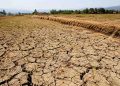 BMKG, El Nino 2026 Masuk Kategori Kuat, Waspadai Kemarau Lebih Panjang dan Kering