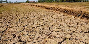 BMKG, El Nino 2026 Masuk Kategori Kuat, Waspadai Kemarau Lebih Panjang dan Kering