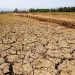 BMKG, El Nino 2026 Masuk Kategori Kuat, Waspadai Kemarau Lebih Panjang dan Kering
