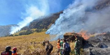 Karhutla di Gunung Bromo Belum Padam, Luas Lahan Terbakar Capai 10 Hektare