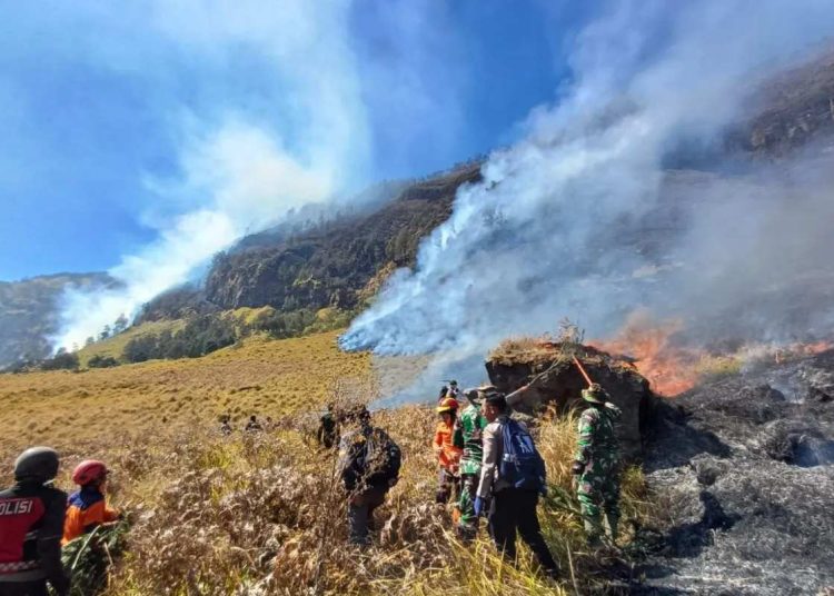 Karhutla di Gunung Bromo Belum Padam, Luas Lahan Terbakar Capai 10 Hektare