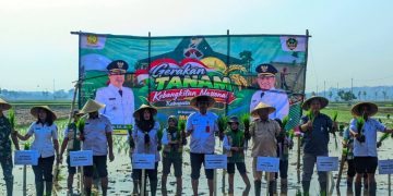 Hadapi Ancaman Kekeringan, Pemkab Madiun Percepat Tanam Padi Serempak