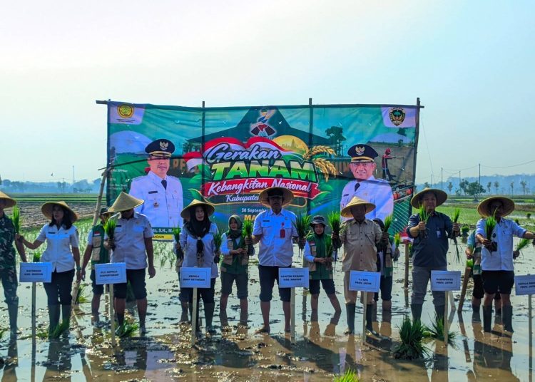 Hadapi Ancaman Kekeringan, Pemkab Madiun Percepat Tanam Padi Serempak