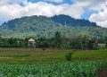 Bojonegoro Bersiap Masuk Era Energi Panas Bumi, WKP Gunung Pandan Segera Dilelang