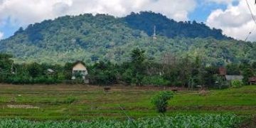 Bojonegoro Bersiap Masuk Era Energi Panas Bumi, WKP Gunung Pandan Segera Dilelang