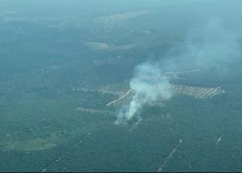 Karhutla di Batang Hari Capai 479 Hektare, Kualitas Udara Muara Bulian Masuk Kategori Tidak Sehat