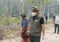 Menhut Perkuat Operasi Penyelamatan Orangutan Terdampak Karhutla di Kalteng